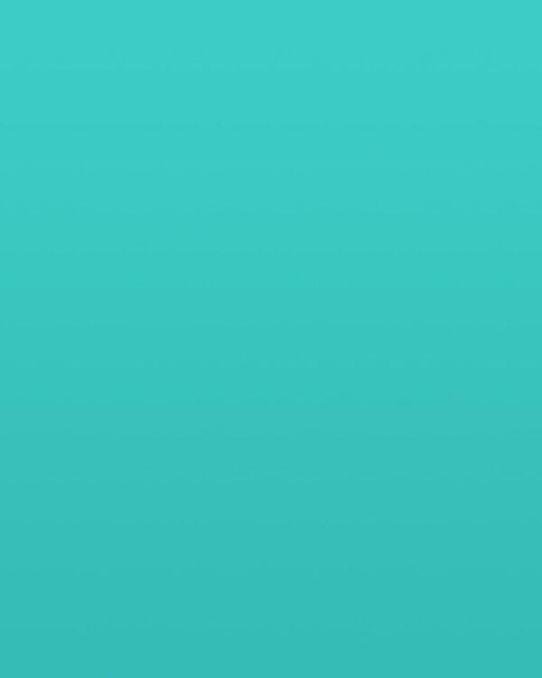 portfolio-placeholder